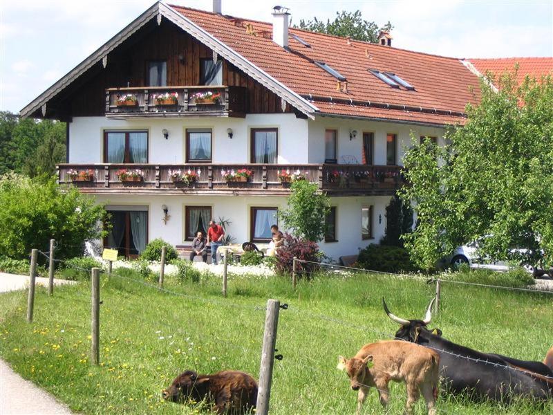 Beim Rieder Apartment Truchtlaching Exterior photo
